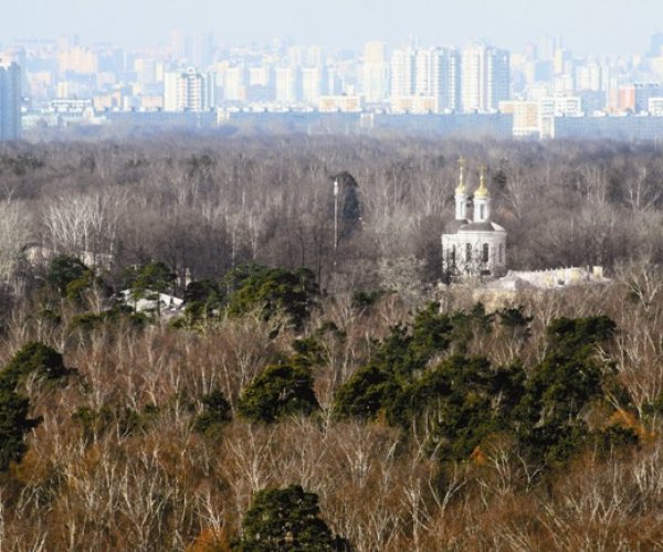 Влахернская жемчужина