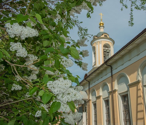 С Рождеством честного славного Пророка, Предтечи и Крестителя Господня Иоанна.  В Москве любят и почитают Великого Пророка Иоанна. В его честь освящены храмы и монастыри.В честь рождества святого в столице несколько храмов.Расскажем о нескольких их них...